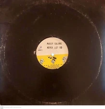 Pusssssy Galore – Never Let Go vinyl