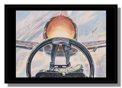 Lockheed Thunderbird Schlitzflugzeug hinter Vorfachbild Ferris kostenloser Versand UK
