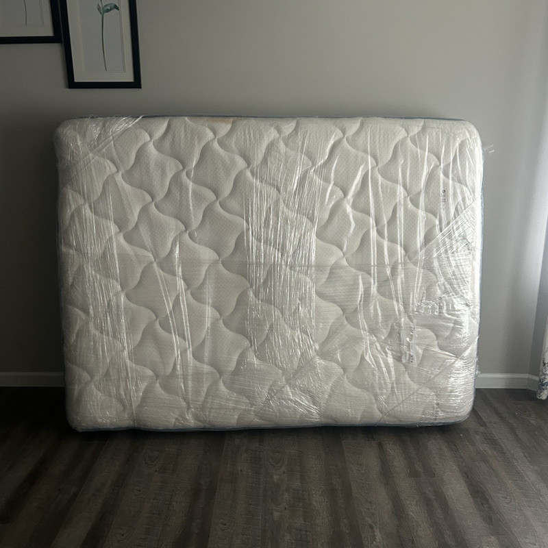 Mattress Firm Sleepy's Plush Innerspring Queen Mattress 13in Beige