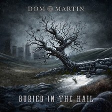 Dom Martin - Buried In The Hail [CD]
