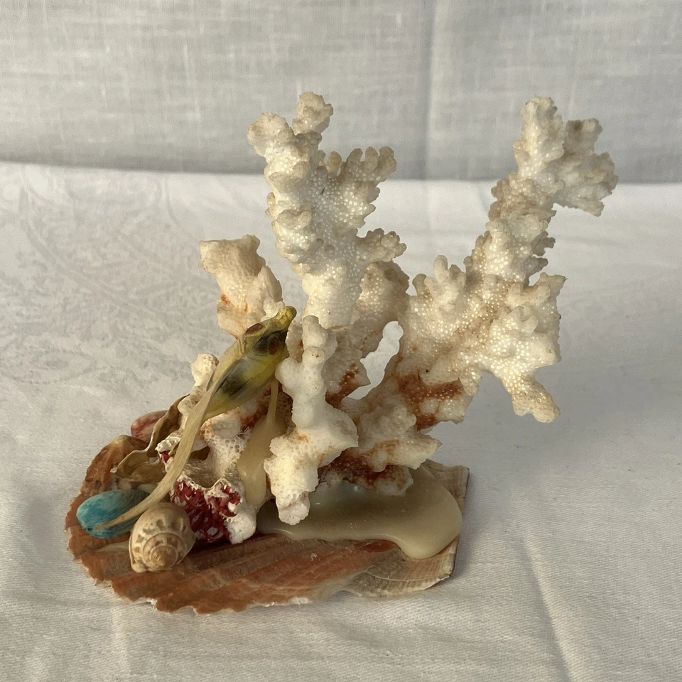 Natural Coral & Shell Sea Display Ornament 10 cm Tall x 10cm Wide Vintage - Image 3 of 4