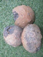 3 Fossilien Dinosauriern (Fragmente) Versteinert Millionen von Jahren alt