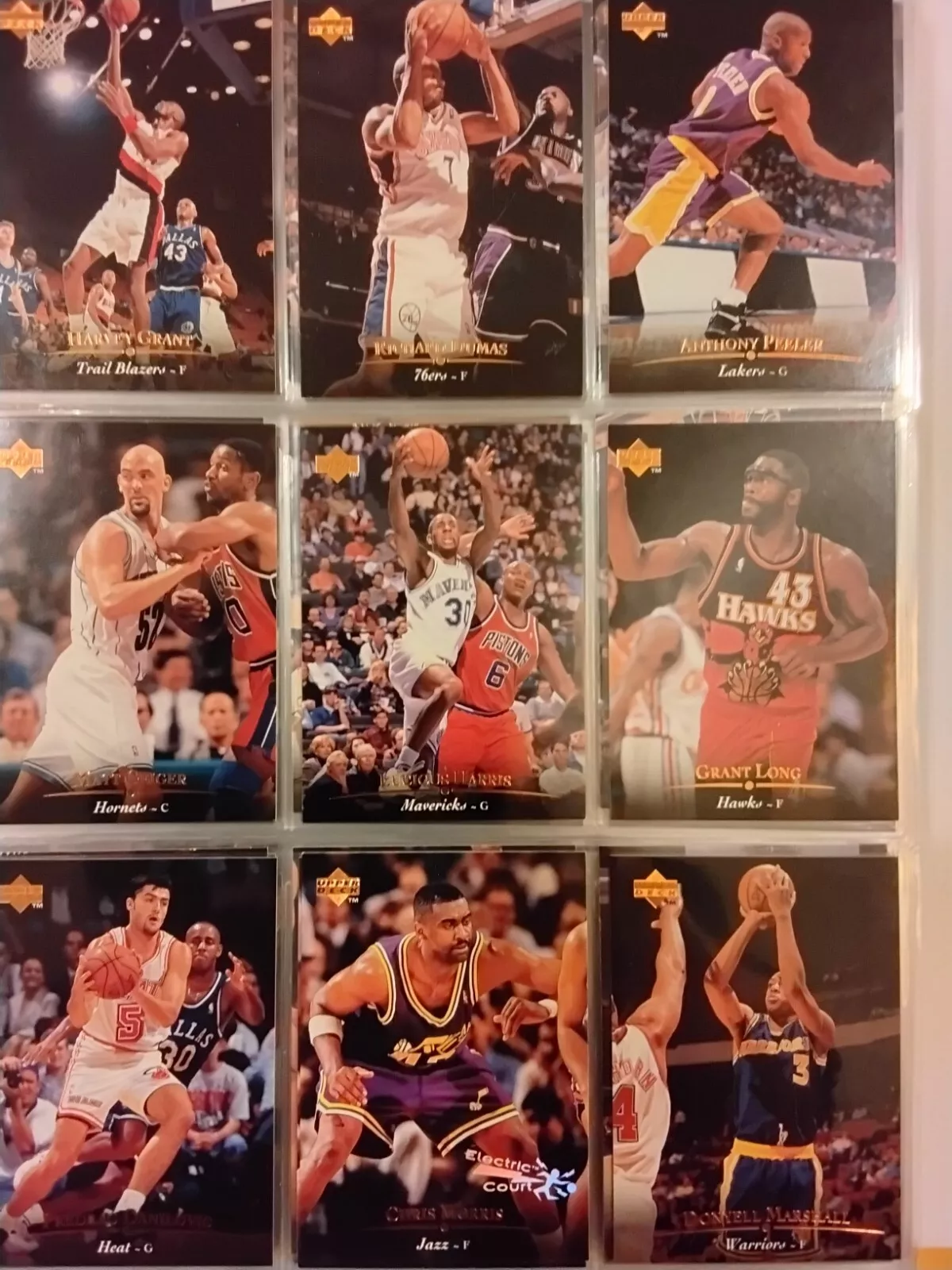 Picture 20 of 23