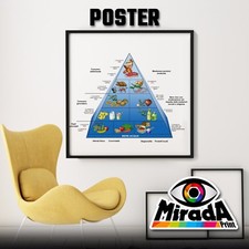 Affiches Pyramide Alimentaire Salute Bio Nourriture Pâte Pain Fruits Légumes