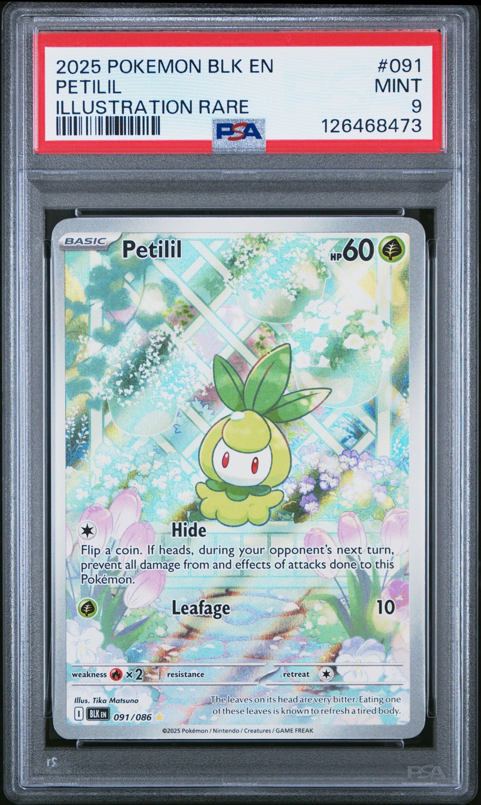 2025 POKEMON BLK EN-BLACK BOLT ILLUSTRATION RARE #091 PETILIL PSA 9