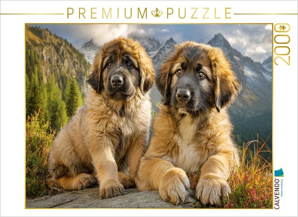 Calvendo Puzzle Sweet Leonberger Puppies | 2000 Pieces, Finished Size 35.4 × 26.-image