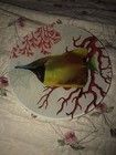 Exotic Fish Decorative Glass Plate Selling Individual Plate