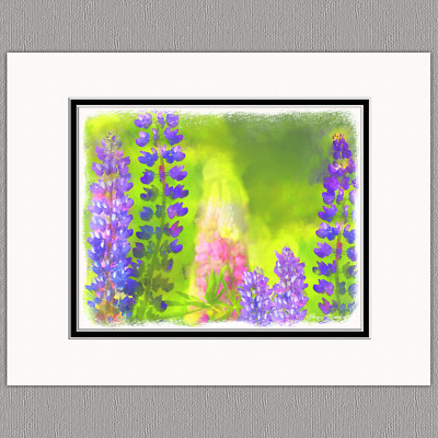 Lupine Wildflower Flower Original 8x10 Painted Style Art Print Matted to 11x14