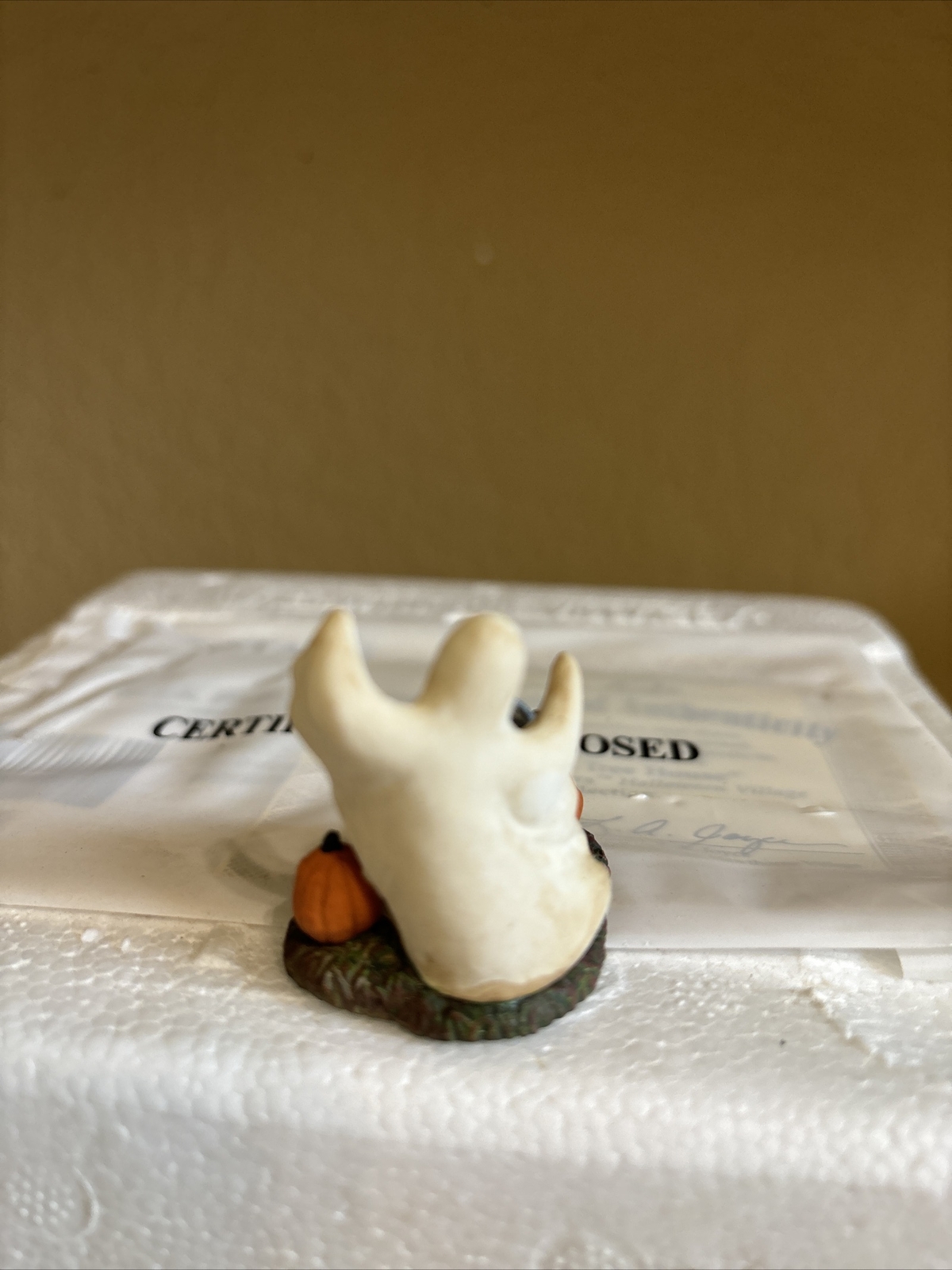 Picture 6 of 12