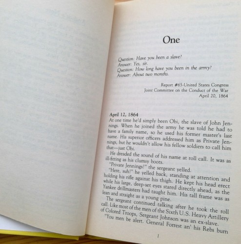 Which Way Freedom? by Joyce Hansen (1992, Library Binding, Prebound edition) - Picture 9 of 10