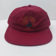 Vtg Masters National AKC Snap back Hat Cap Made In USA Maroon