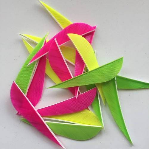 50 Pcs 2.5 Inch Parabolic Archery Fletches Right Wing Arrow Feathers - Picture 5 of 24