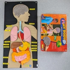 Educational Insights My Body Activity Center Anatomy Wall Cloth Chart Organs