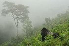 MountainMistMarket
