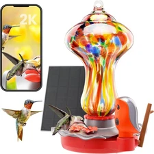 Glass Smart Hummingbird Feeder with 2K HD Camera Solar Powered