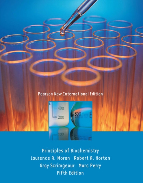 Principles of Biochemistry by Gray Scrimgeour (Paperback Book)