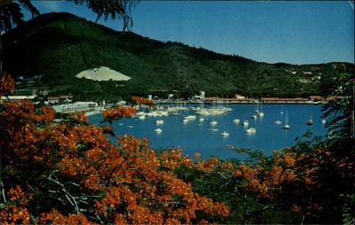 Yacht Haven St Thomas Virgin Islands vintage postcard q841