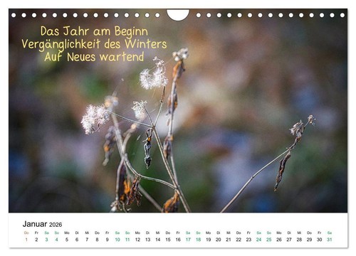 HAIKU, eine fotografische Interpretation (Wandkalender 2026 DIN A4 quer), CALVEN - Bild 4 von 12
