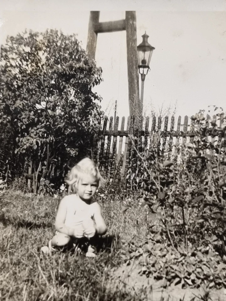 5x Liegnitz , Legnica,Straße, Park,kleines Mädchen - Bild 3 von 4