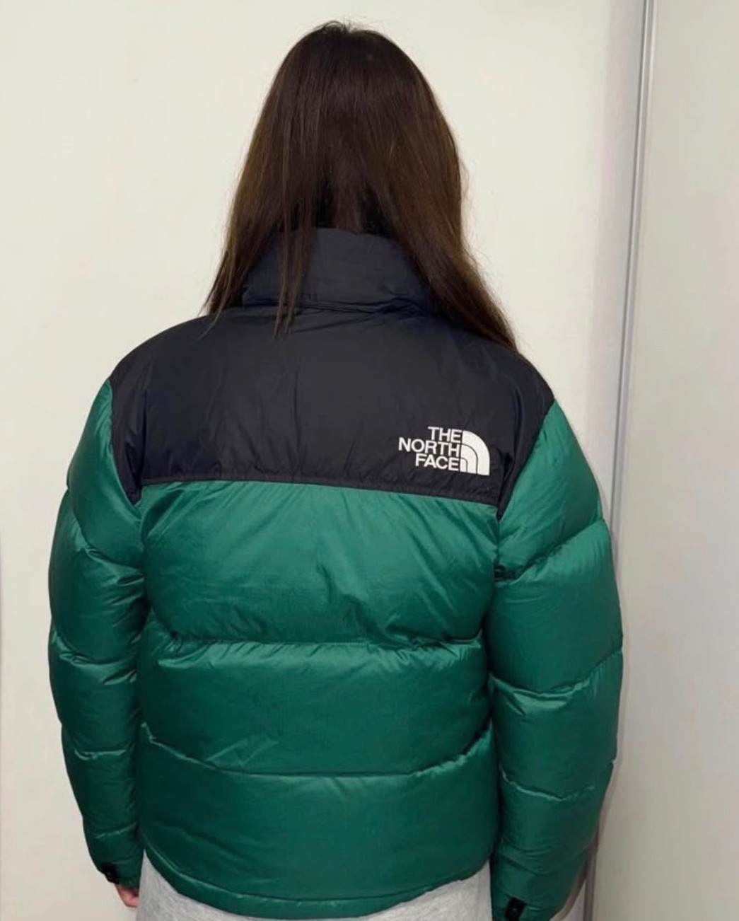 north face 1996 retro nuptse puffer jacket thumbnail 3