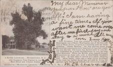 Landmark Moorestown New Jersey Sycamore Tree Main Street 1906 Postcard