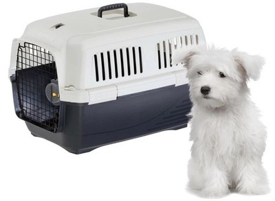 Ferplast CLIPPER 3 Reisekiste Tiertransportbox Hunde & Katze - TÜRPAKET FEHLT
