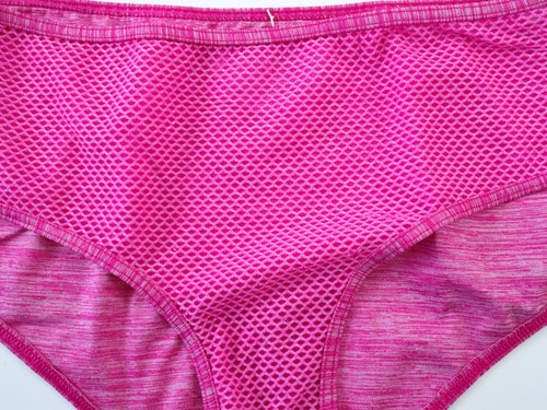 Vintage Victoria's Secret 2016 Perfect Everyday Net Hipster Panty MEDIUM - Picture 2 of 7