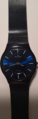 Skagen Denmark Titanium Black