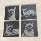 Set Of 4 Laser Engraved Siamese Cat Slate Coasters. Siamese cat gifts.