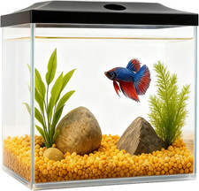 0.8-Gallon Cube Small Fish Tank, Shatterproof Plastic Fish Tank with LED Lightin
