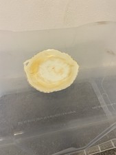 Vintage Leaf Shaped Plate