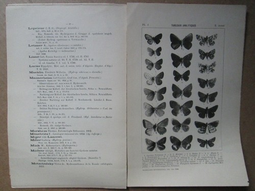 MISCELLANEA ENTOMOLOGICA. Revue entomologique internationale, 1896/1921. - Picture 3 of 12
