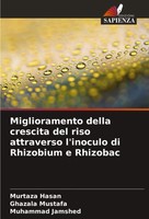 Murtaza Hasan (U. A.) | Miglioramento Della Crescita Del Riso Attraverso...