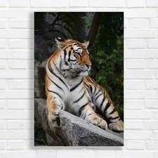Majestic Tiger Sitting on Rock Canvas Print Large Picture Wall Art