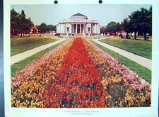 Antique Old Print Summer Bedding Port Sunlight Antirrhinums Colour Flowers