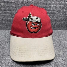 Fort Wayne Tincaps Hat Cap Strap Back Youth Boys Red Tan MILB Baseball