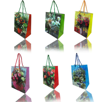 24 Geschenktüten Geschenkbeutel Geschenktaschen Geschenkt A5/ BP1 (23x18x10)cm