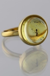 Authentic Fossil Insect Genuine BALTIC AMBER Gold Plated Silver Adjustable Ring 191029-10