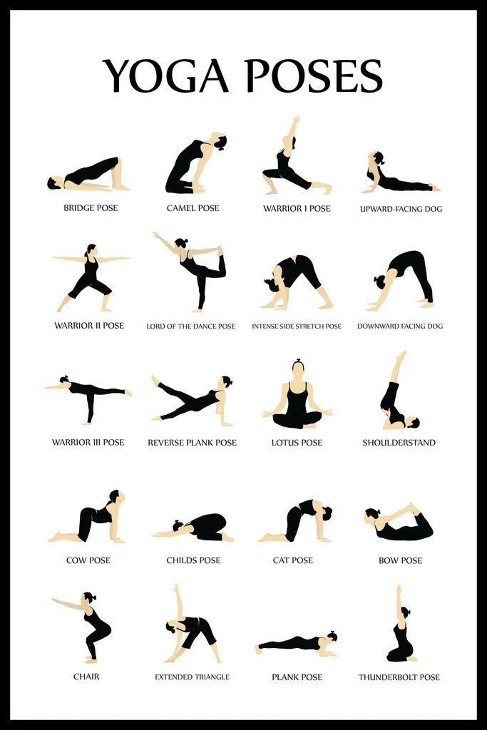 Update 146+ basic yoga poses explained super hot vova.edu.vn
