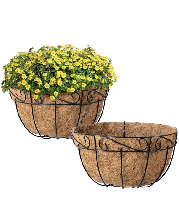 coir basket planter