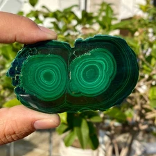 64G Natural High Quality Malachite Flakes luster Gem Crystal Mineral Specimen.