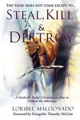 Loribel Maldonado Steal, Kill & Destroy (Taschenbuch)