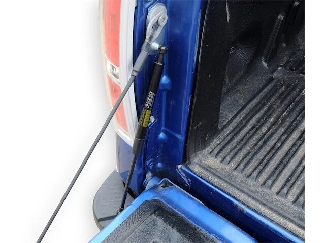 Puntal de puerta trasera para Ford F150 2004-2014 2011 2013 2007 2008 2012 2009 TC595XK Foto 2 de 2