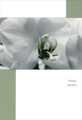 Nice THANK YOU FOR BEING IN MY LIFE Card, Flower ''Rare & Wonderful'' by Prism + 