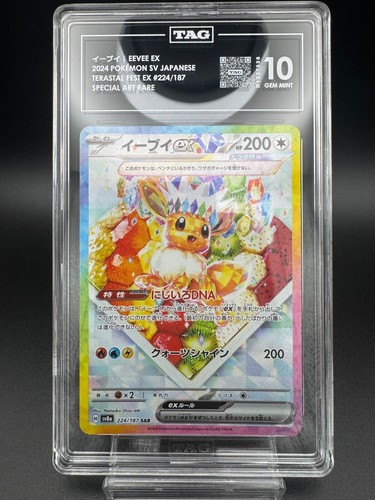 Pokemon TAG 10 Gem Mint Eevee EX 224/187 SAR Terastral Festival sv8a JPN PSA