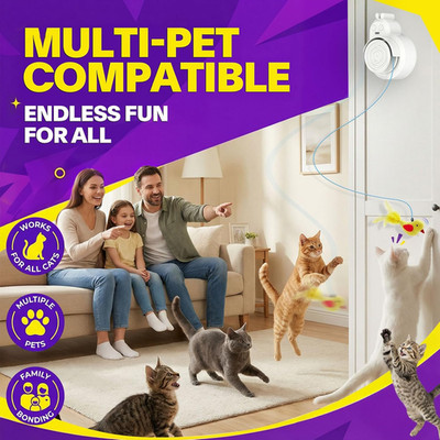Interactive Cat Toys Indoor Cats Automatic Electric Flying Bird Feather Mouse