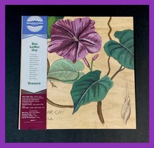 Ben Lamar Gay - Yowzers LP On Ipomoea Jalapa Colored