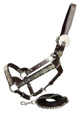 New Average horse size Dark leather SHOW HALTER w/ Engraved silver 6' Lead