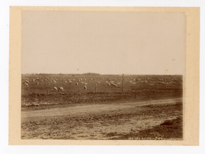 Argentina South American Albumen Photograph of Una Majada Buenos Aires