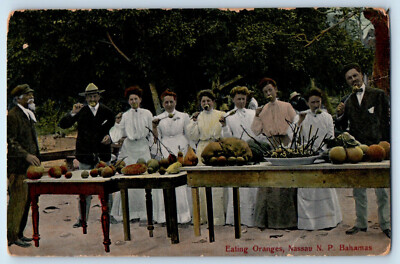 Nassau N.P. Bahamas Postcard Eating Oranges and Other Fruits c1910 Antique